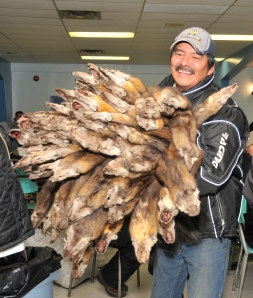 Albert Saunders with his haul, Thompson Fur Table (1)